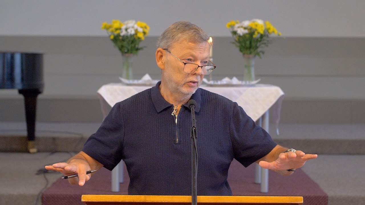 Kā iegūt tiesības uz dzīvības koku